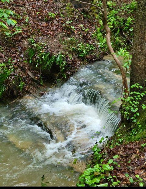2 Brushy Mountain Road, Rockmart, Georgia image 4