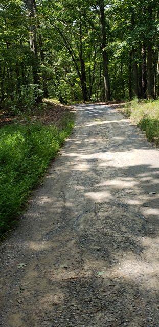 2 Brushy Mountain Road, Rockmart, Georgia image 7