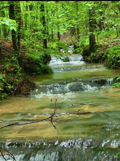 2 Brushy Mountain Road, Rockmart, Georgia image 5