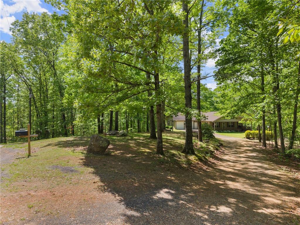 270 Clifton Drive, Dawsonville, Georgia image 11