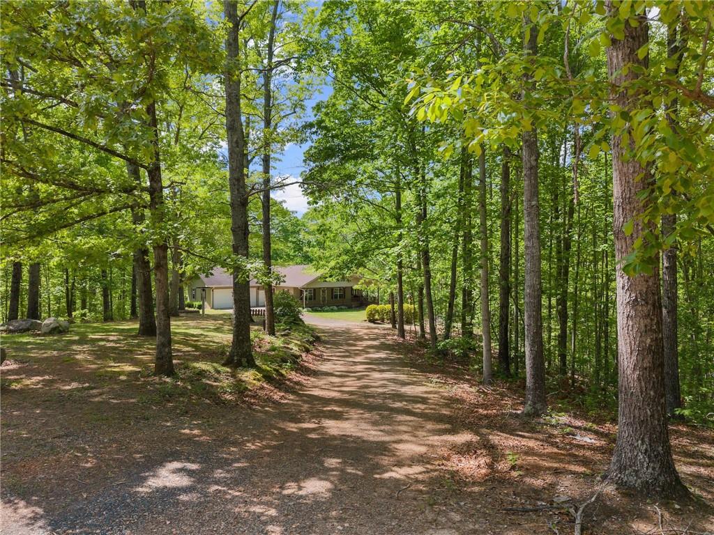 270 Clifton Drive, Dawsonville, Georgia image 12