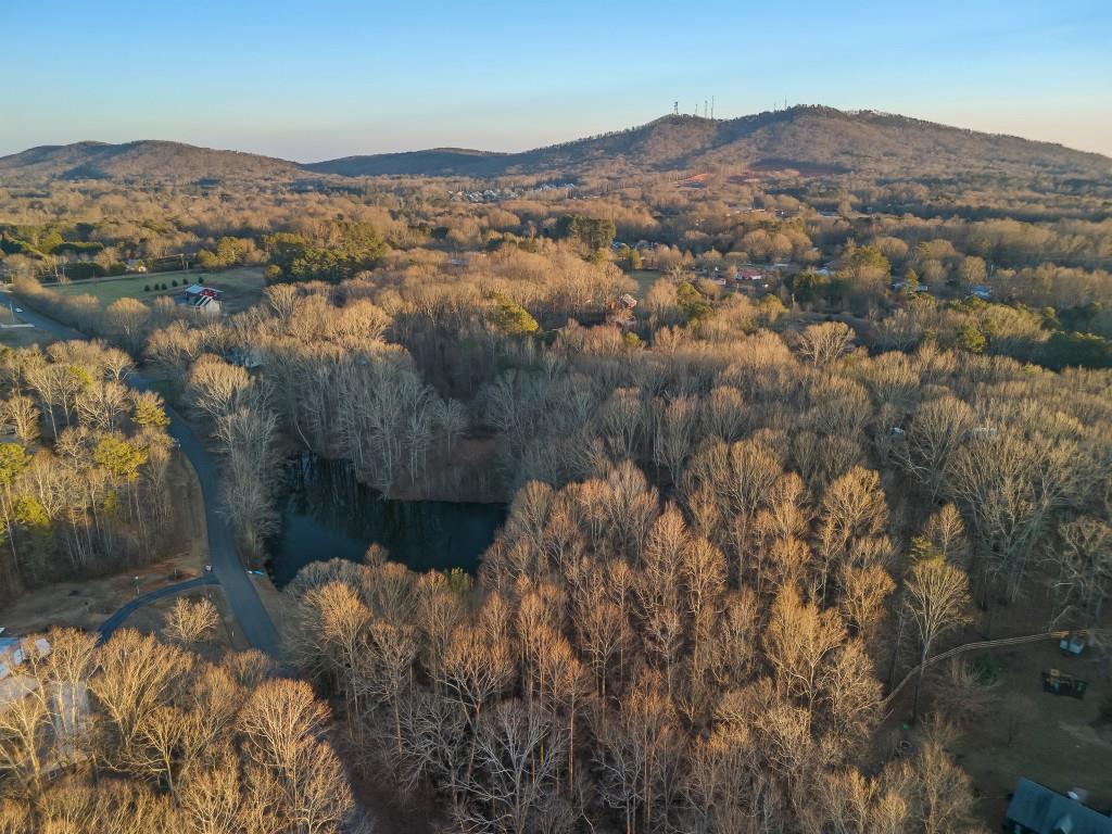 Elzey Drive, Cumming, Georgia image 12