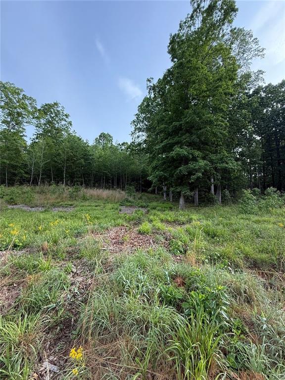 Lot 5 Purvis Road, Baldwin, Georgia image 3