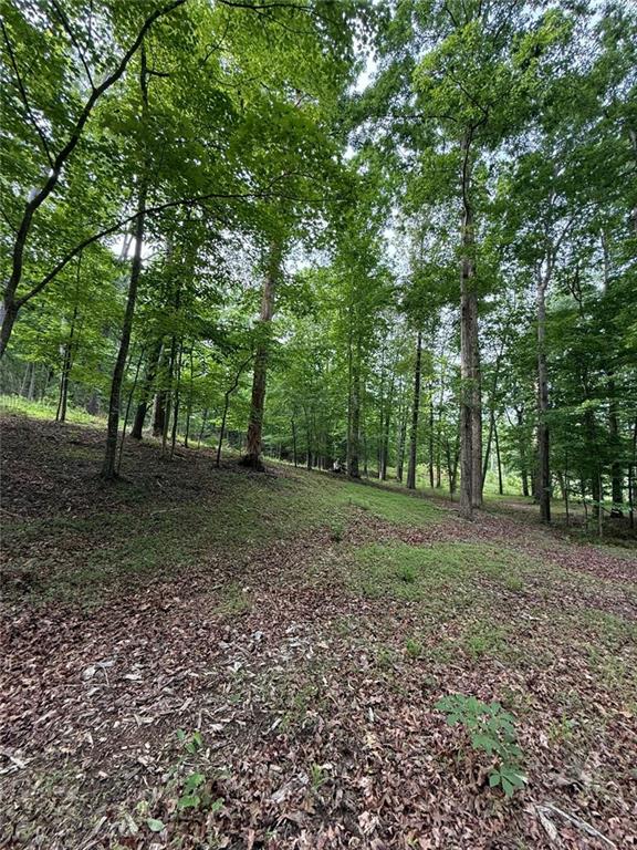 Lot 5 Purvis Road, Baldwin, Georgia image 12
