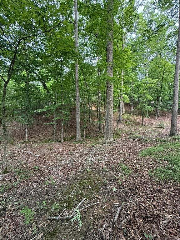 Lot 5 Purvis Road, Baldwin, Georgia image 7