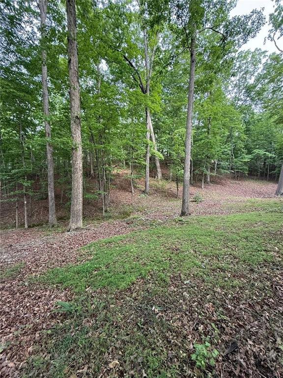 Lot 5 Purvis Road, Baldwin, Georgia image 9