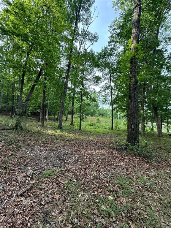 Lot 5 Purvis Road, Baldwin, Georgia image 5
