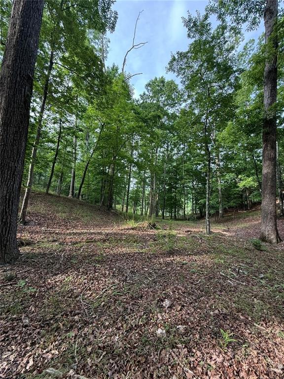 Lot 5 Purvis Road, Baldwin, Georgia image 14