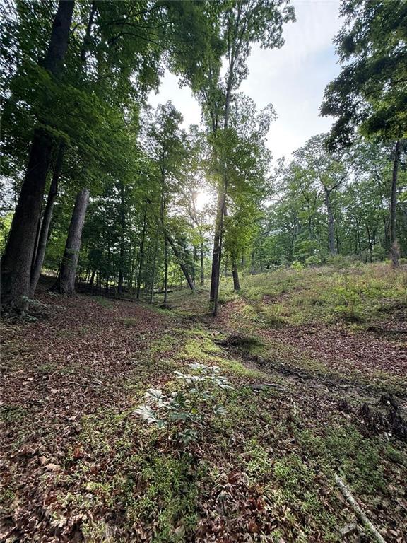 Lot 5 Purvis Road, Baldwin, Georgia image 15