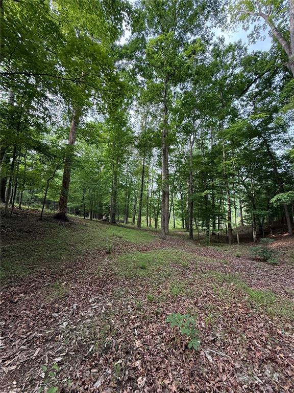 Lot 5 Purvis Road, Baldwin, Georgia image 11