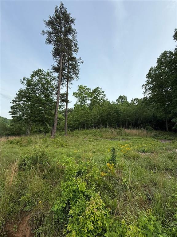 Lot 5 Purvis Road, Baldwin, Georgia image 2