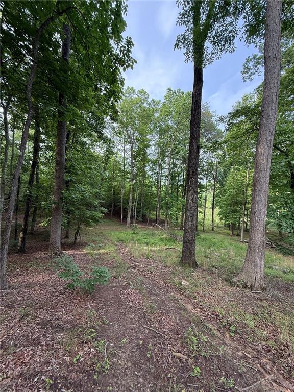 Lot 5 Purvis Road, Baldwin, Georgia image 16