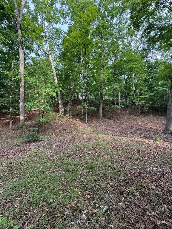 Lot 5 Purvis Road, Baldwin, Georgia image 10