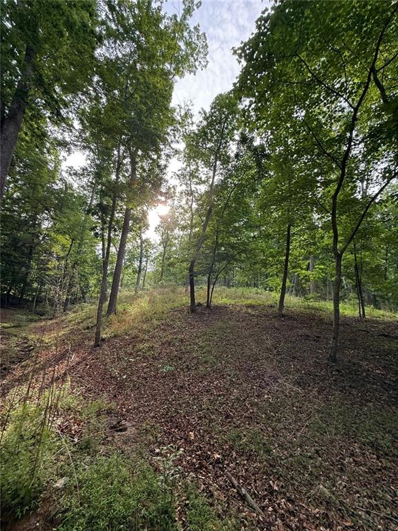 Lot 5 Purvis Road, Baldwin, Georgia image 13