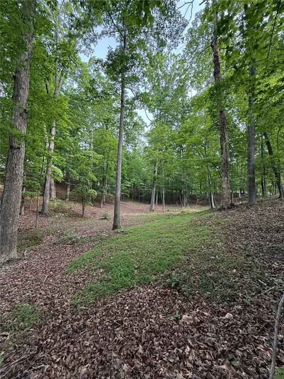Lot 5 Purvis Road, Baldwin, Georgia image 6