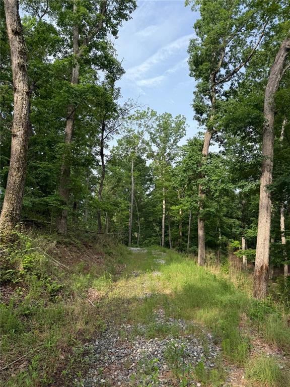 Lot 5 Purvis Road, Baldwin, Georgia image 17