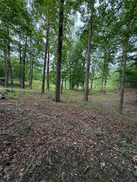 Lot 5 Purvis Road, Baldwin, Georgia image 8