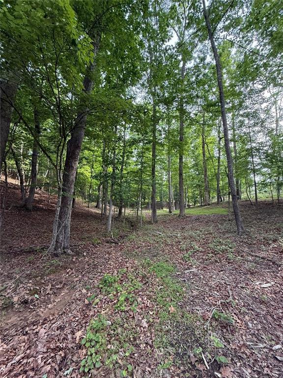 Lot 5 Purvis Road, Baldwin, Georgia image 4