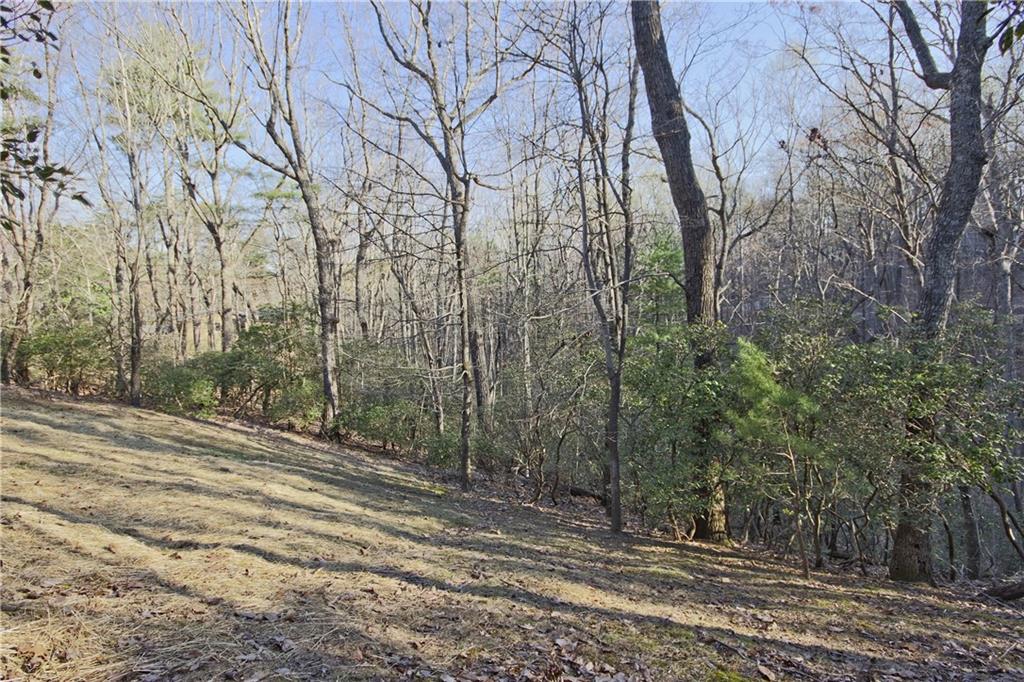 255 Sunset Court, Jasper, Georgia image 39