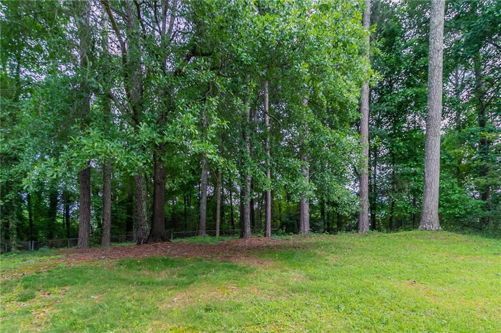 803 Cedar Lake Drive, Conyers, Georgia image 31