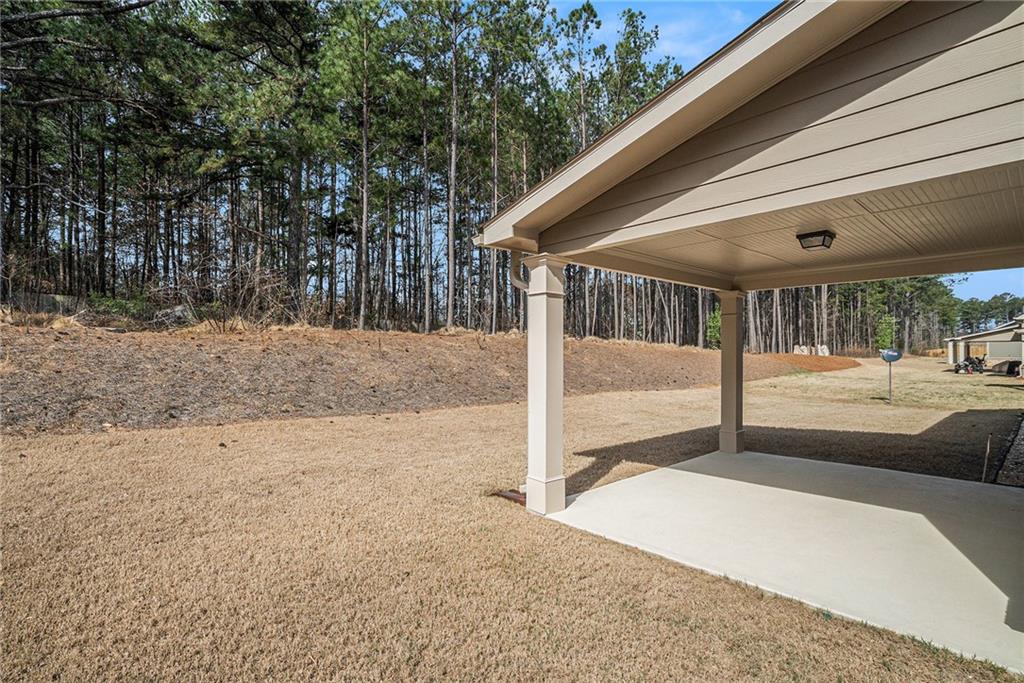 3415 Linstead Court, Loganville, Georgia image 29