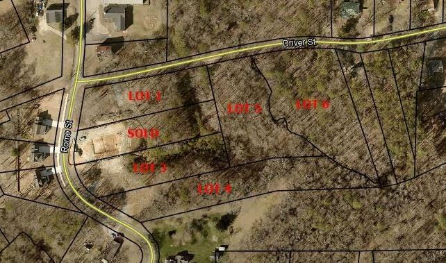 5 Lots Rome St. & Driver St.
