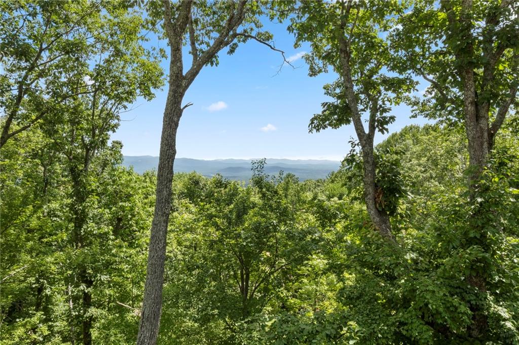 62 Bear Cub Ridge