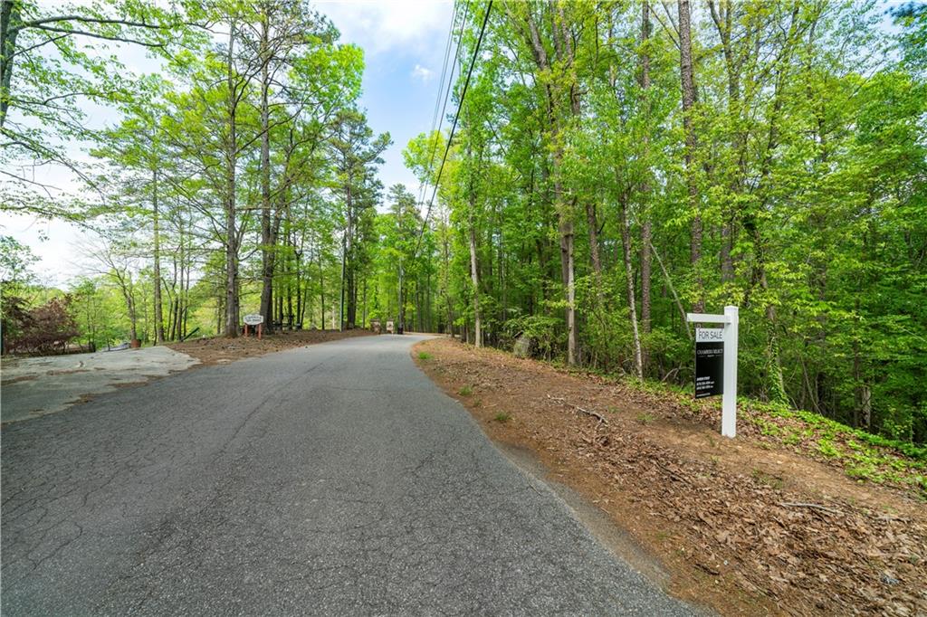 Island Mill Road, Acworth, Georgia image 7