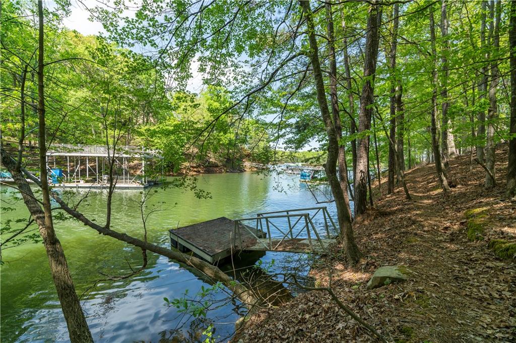 Island Mill Road, Acworth, Georgia image 10