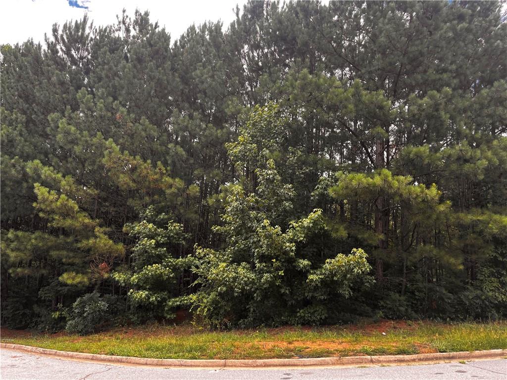 Residential Land lot. Can be sold individually or in a package with 545 Longwood Pl, 425 Longwood Pl, 439 Longwood Pl, 691 Longwood Pl, 684 Longwood Pl, 660 Longwood Pl, 648 Longwood Pl, 262 Tapestry Dr (McDonough), and 1745 Indian Wood Rd (Lithonia). Buyer is responsible for verifying all given information during due diligence.