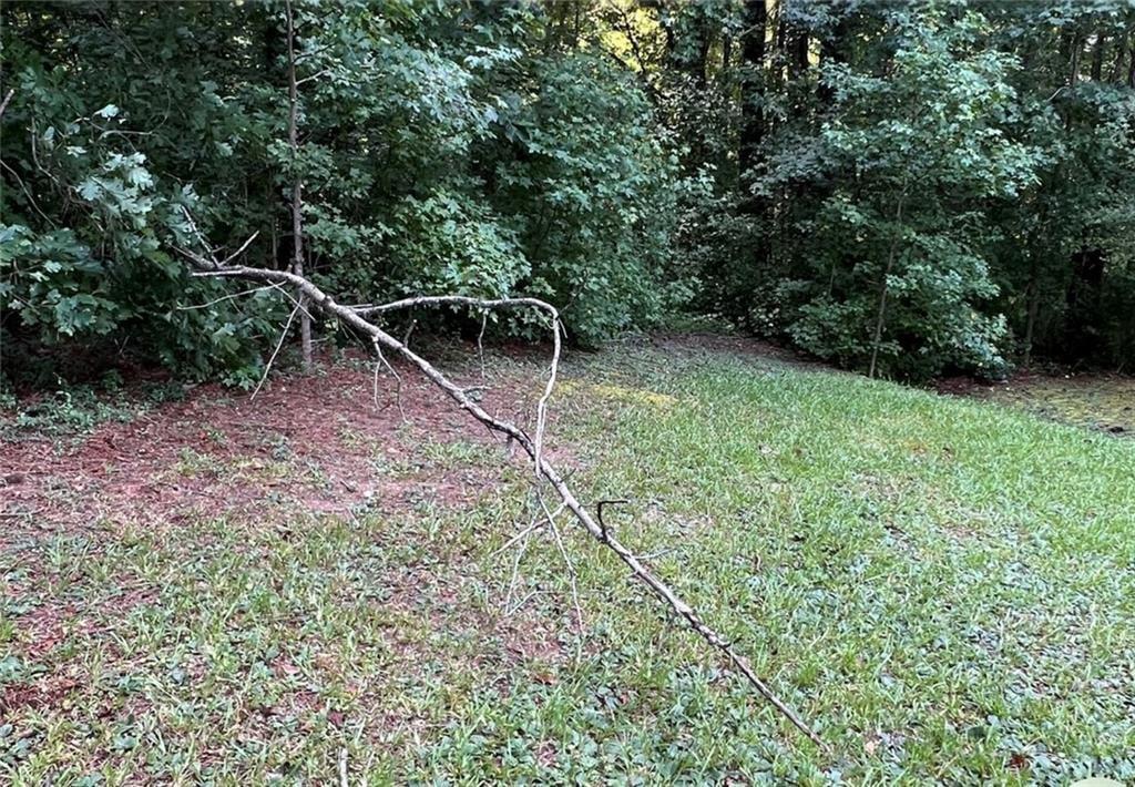 3005 Patty Hollow