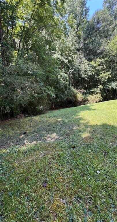 3005 Patty Hollow