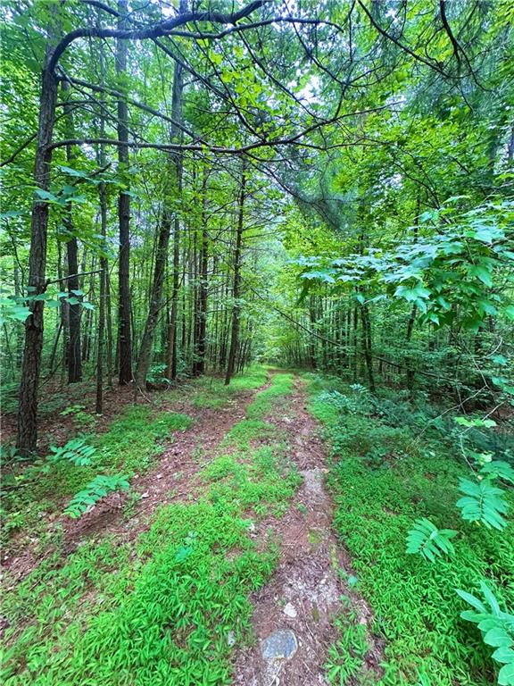 0 Old Post Trail