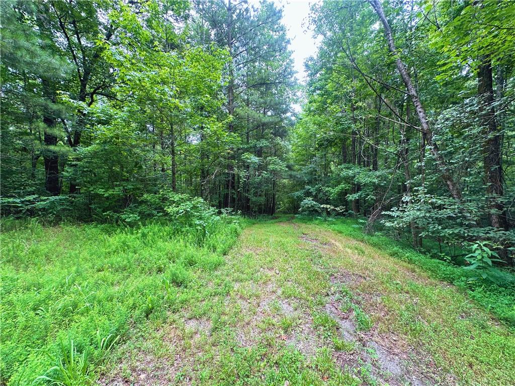 Escape to your own private retreat with this 22-acre wooded property, featuring a bold, year-round creek and a peaceful natural setting. Tucked away for ultimate privacy, yet only minutes from HWY 15 making it easily accessible to Jasper and Ellijay! Convenient & private! This beautiful tract offers seclusion, shade, and stunning seasonal color. This property is perfect for a private estate, mountain cabin, recreational getaway, and so much more.
Don't miss this one - MUST SEE!