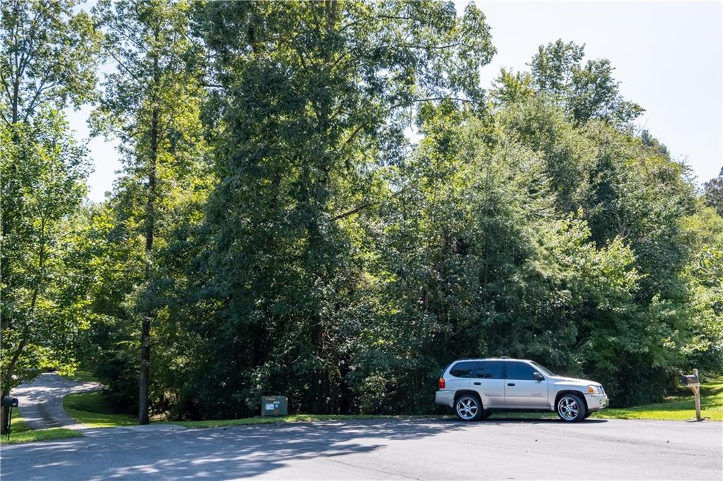 Libby Lane, Calhoun, Georgia image 1