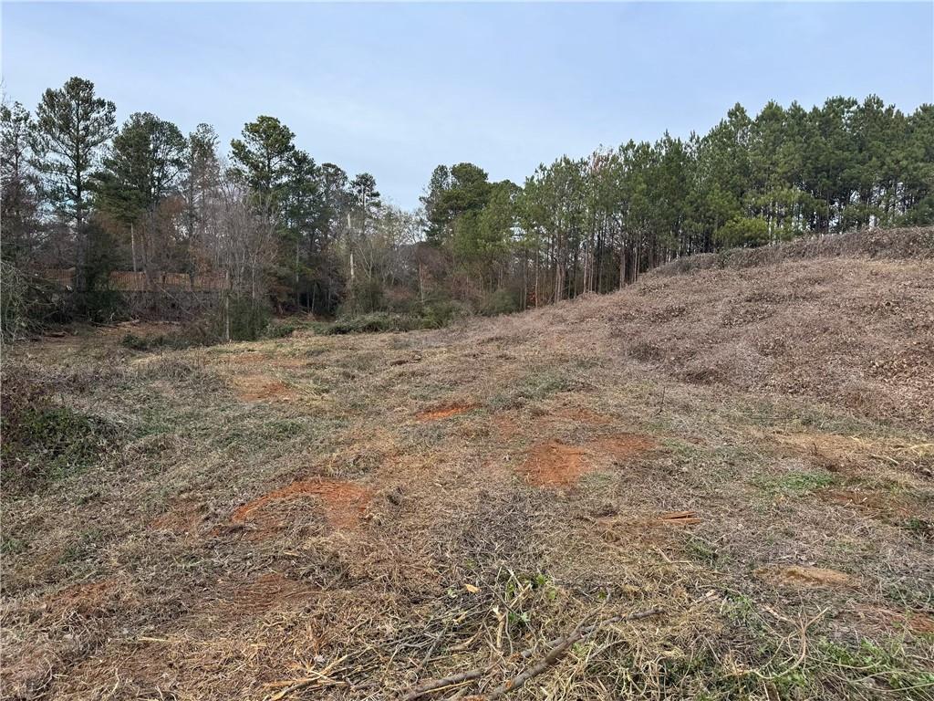 W Sandtown Road, Marietta, Georgia image 1