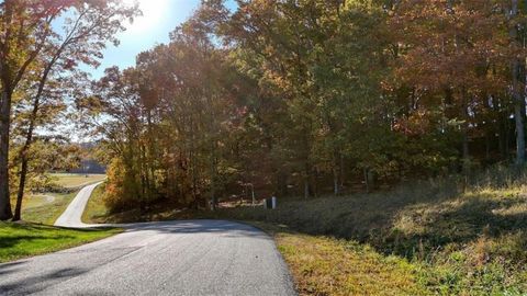 LOT 16 Old Owen Drive Blairsville GA 30512