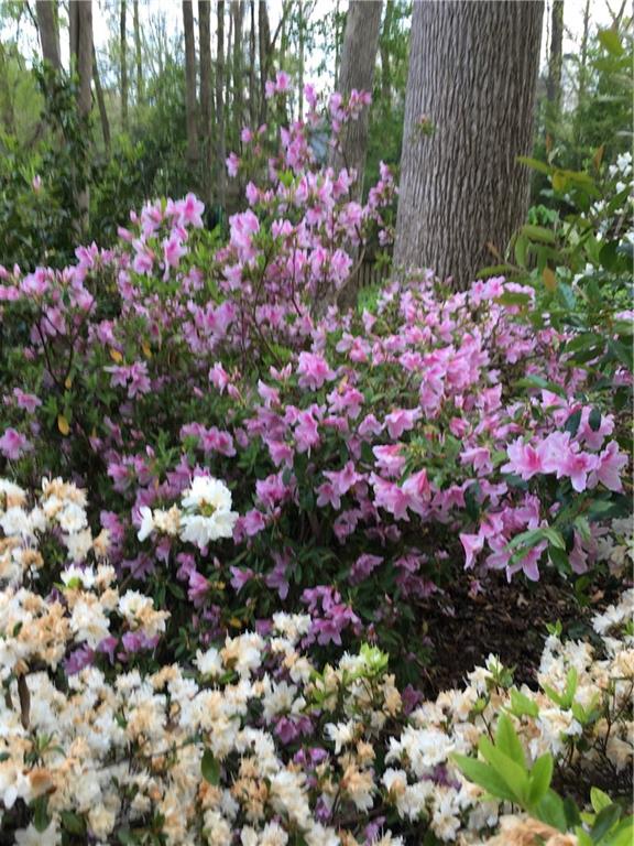 FLOWERS CROSSING - Residential