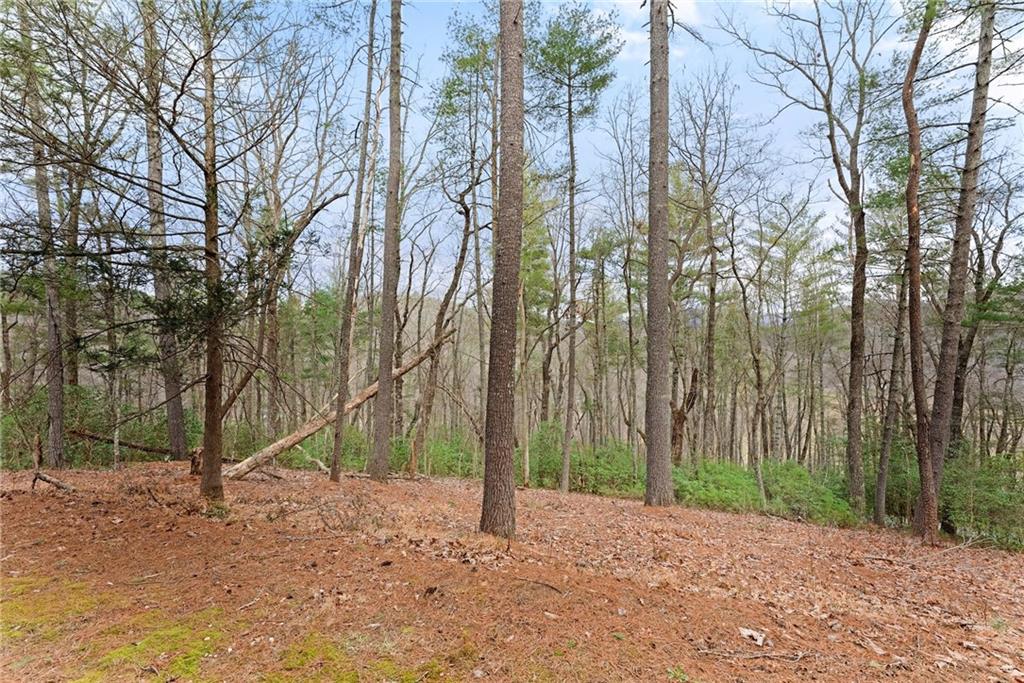 300 Highland Trail, Cleveland, Georgia image 30