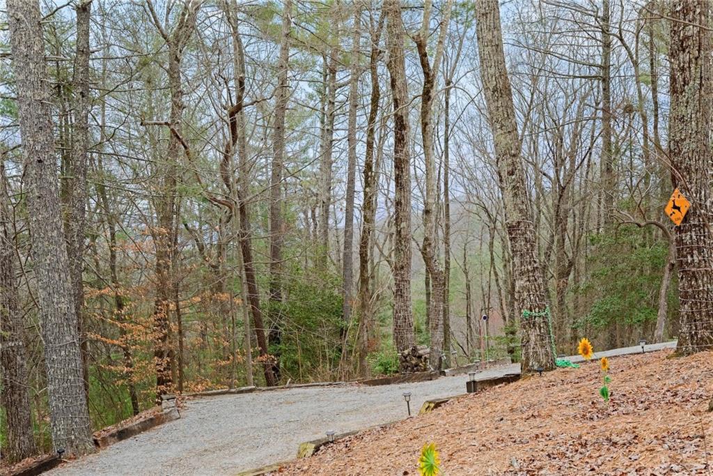 300 Highland Trail, Cleveland, Georgia image 29