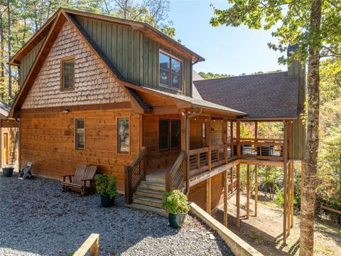 10 Cohutta Overlook Lane Blue Ridge GA 30513