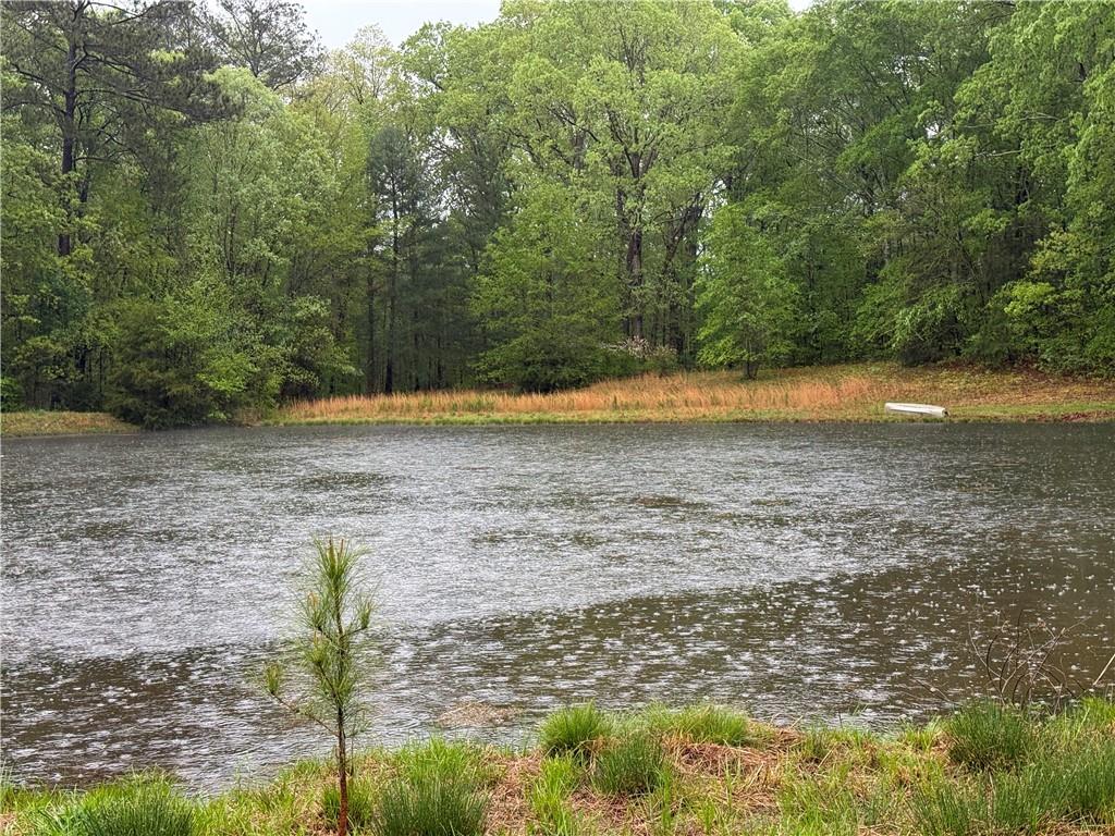 12421 Highway 36, Covington, Georgia image 42