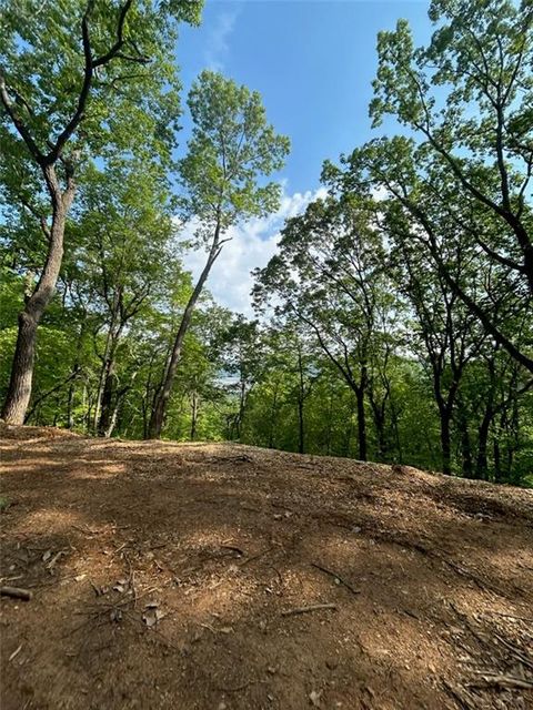 Vacant Land For Sale - 324 Adair Drive<br/> Ranger, GA 30734