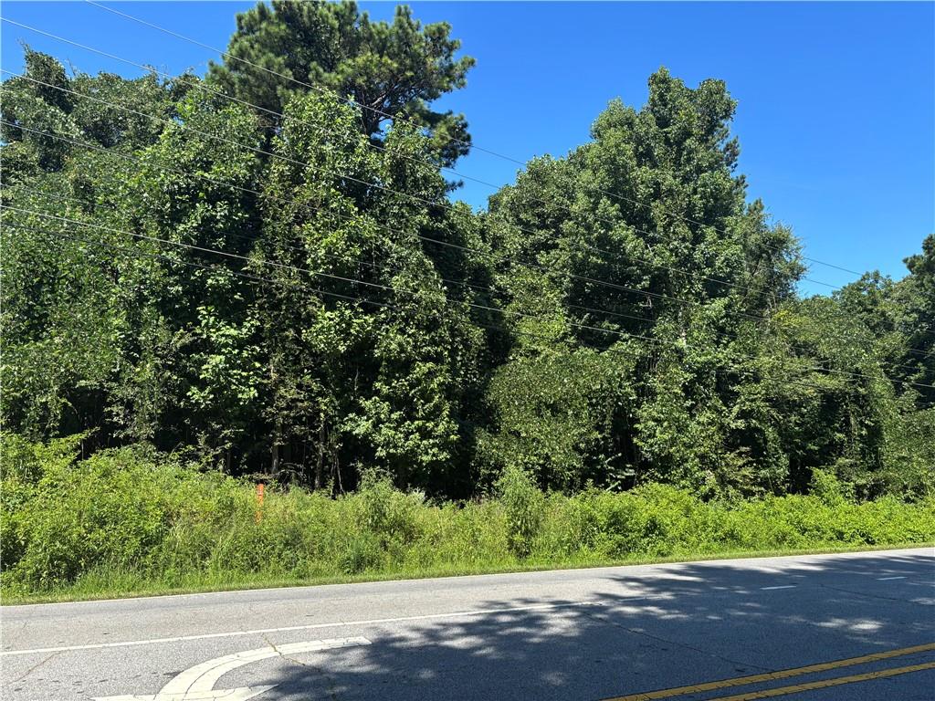 Come view this beautiful, wooded lot where you can build your Custom Dream Home. A total of 3.08 acres. There's plenty of space to build your custom home, a pool, a tennis court or any other amenities that you can dream of. No HOA! This lot is located in the Camp Creek area. You are 10 minutes from the airport and 10 minutes to downtown Atlanta. I-285, I-85 and I-20 are only minutes away. The area is continuing to grow. Shopping, grocery store and dining are minutes away! This is the perfect lot to build your custom dream home.