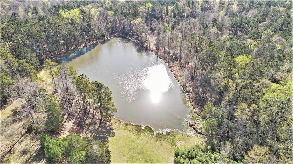 386 Higgins Road, Flovilla, Georgia image 8