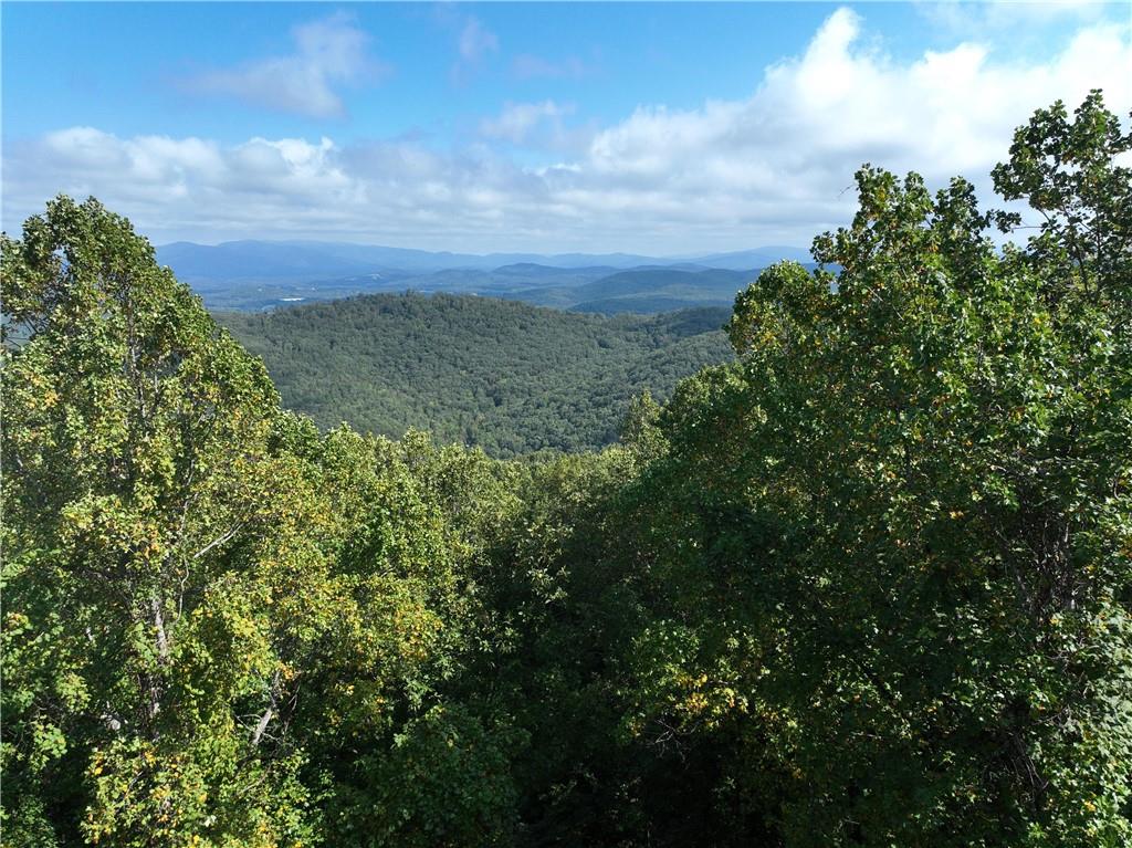 279 Andes Ridge, Ellijay, Georgia image 3