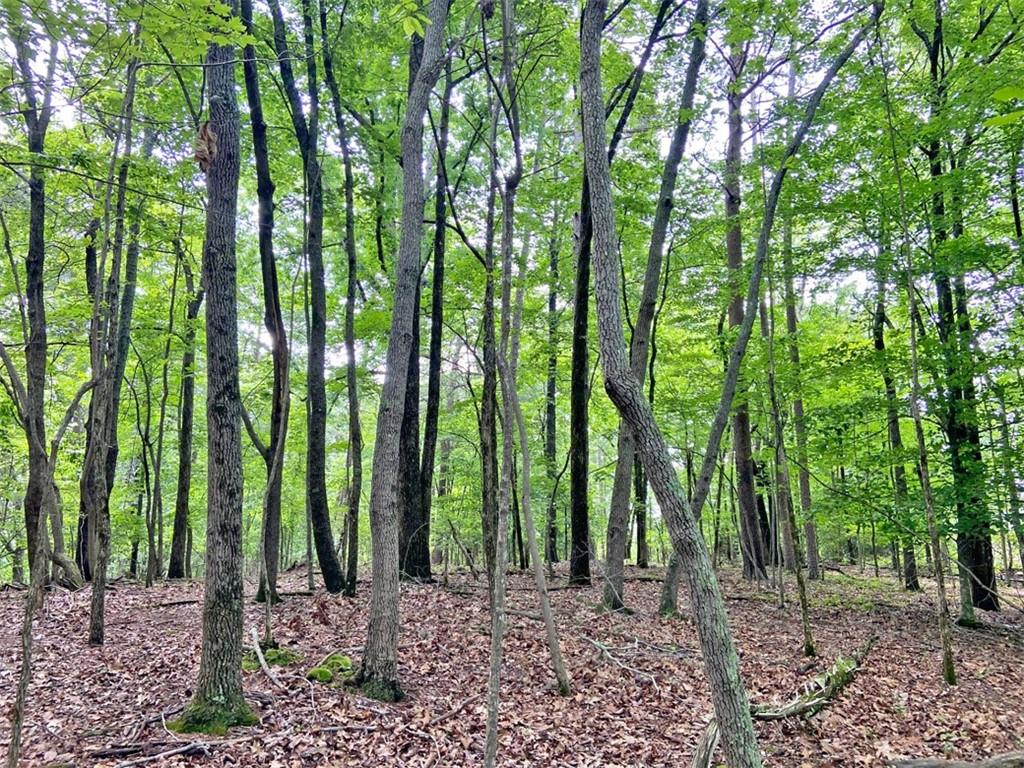 39.2ac Falling Pines Road