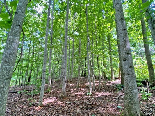39 PINE RD, DAHLONEGA, GA 30533 - Image 061fe77281cee11353d06d0b35c60378/2000502152