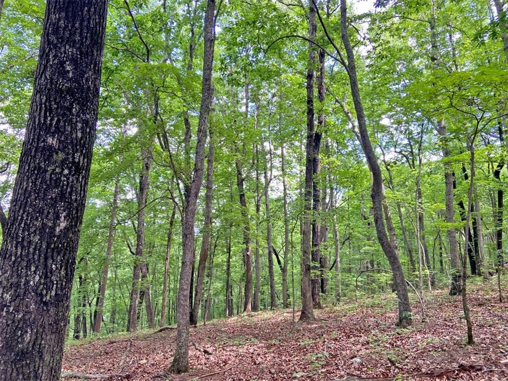 39.2ac Falling Pines Road