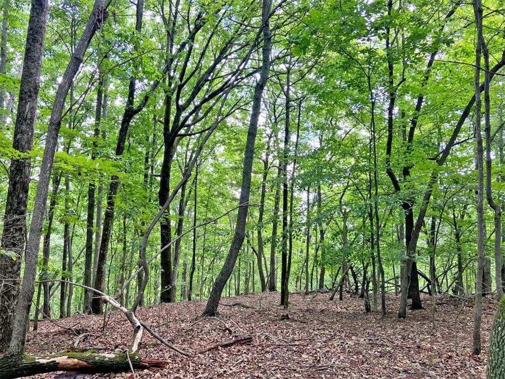 39.2ac Falling Pines Road